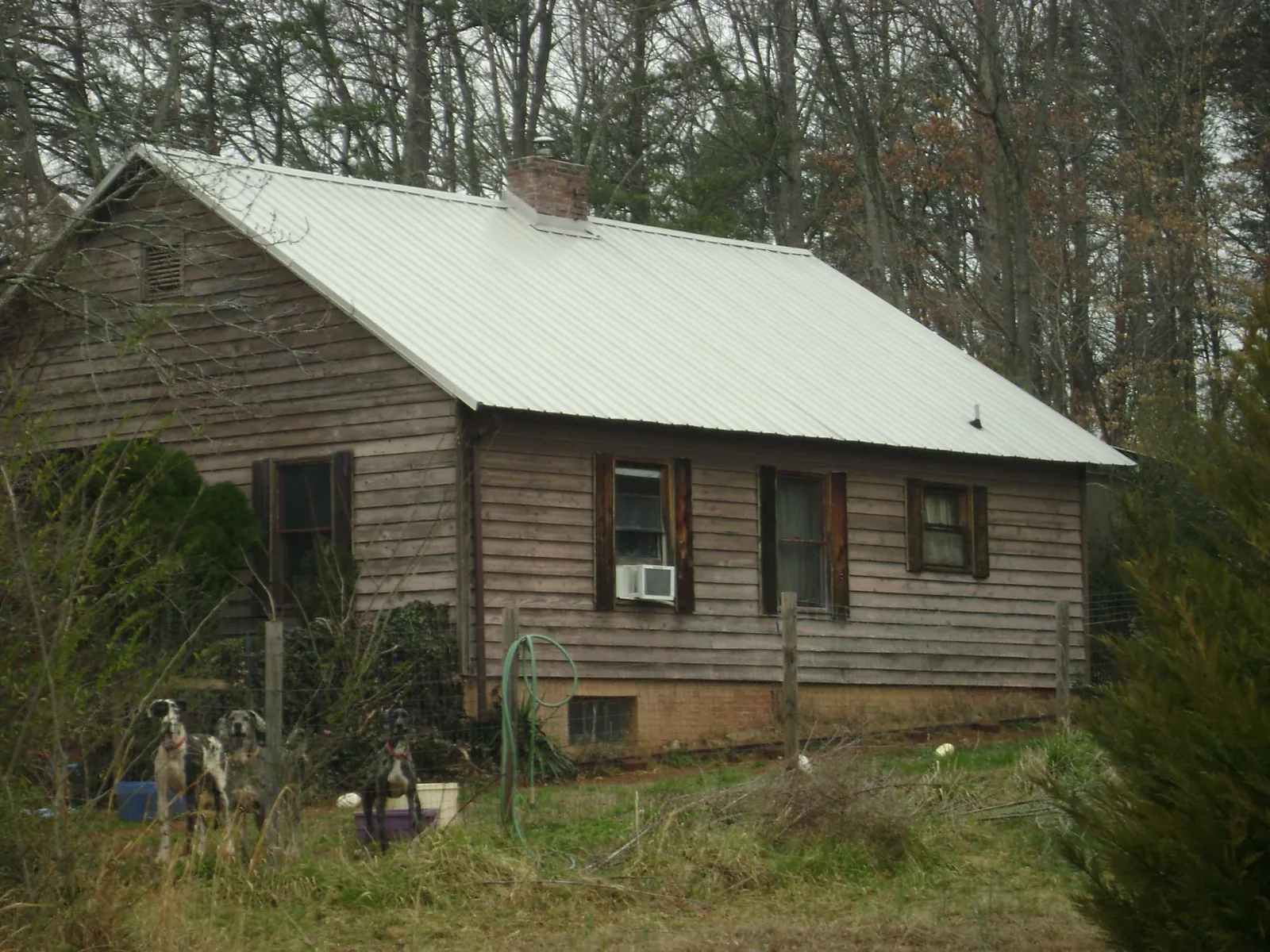 White metal roof on an old wood sided farmhouse, from a Asphalt Shingle Roof Repair job in Braintree